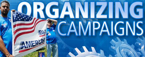 Organizing Campaigns
