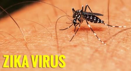 zika-virus-copy-e1454270258590