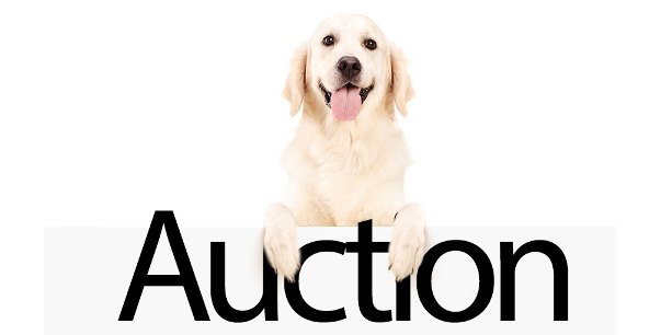 Bid Now in the Guide Dogs of America Online Auction - IAMAW