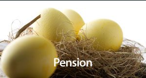 IAMNationalPensionFund