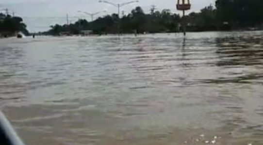 Rising flood waters on the street to Franklin’s neighborhood, taken from a boat.