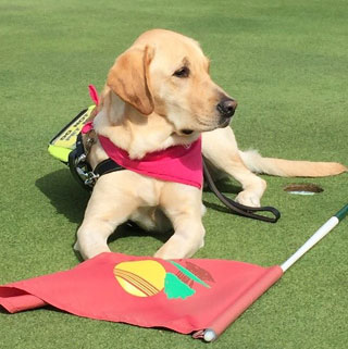 District 70 Bob Martinez Guide Dogs Golf Tournament is Big Success