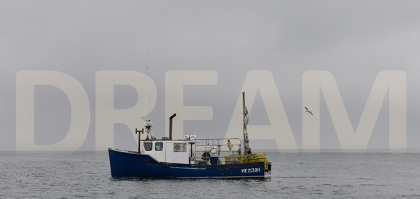 ‘A Dream’ Comes True: IAM Maine Lobstermen Buy Wholesale Lobster Business, Form Co-Op