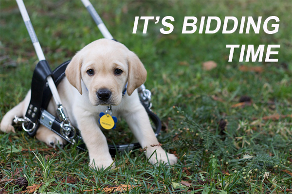 Time Running Out to Bid in Guide Dogs of America Auction