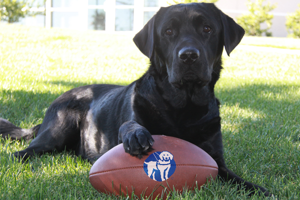 Are You Ready for Some Football? It’s Game Time for Guide Dogs of America!