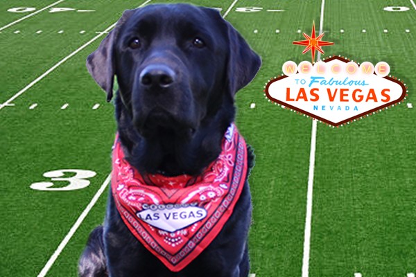 Ready, Set, Hike!  It’s Time to Score Big for Guide Dogs of America!