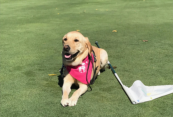 Golfing for Good