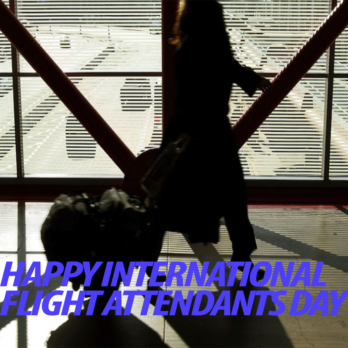 IAM Celebrates International Flight Attendants Day