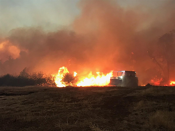 NFFE-IAM Members Battling California Wildfires