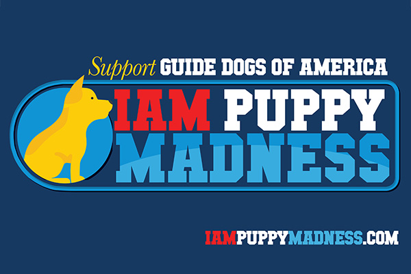 Vote Now to Pick the Cutest IAM Dog