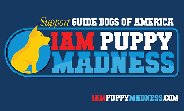 Still Time to Vote for the Cutest IAM Dog