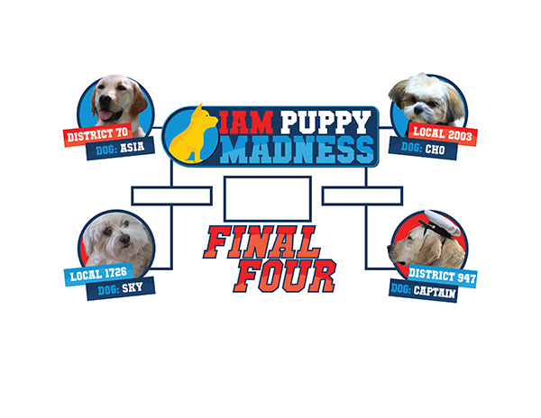 IAM Puppy Madness is Down to the Final Four