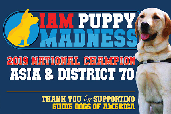 IAM Puppy Madness: You Voted and There’s a New Champion