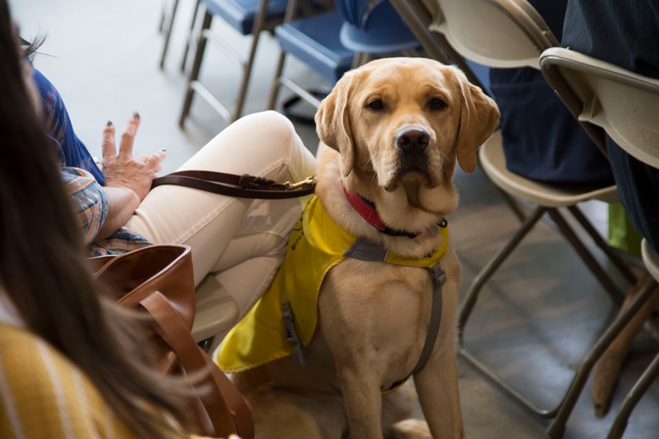 GDA Hosts 411th Graduation and 15th Annual Ride for Guides in Sylmar, CA