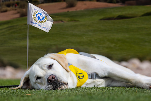 Peace, Love, Golf and Guide Dogs of America