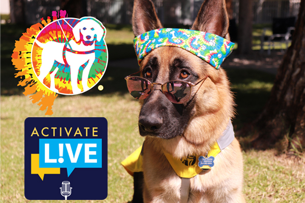 This Week, Activate L!VE Goes to the Dogs