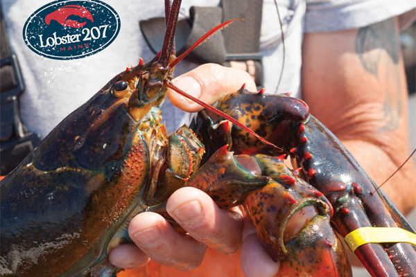 Maine Lobstering Union Wins in Court to Protect Lobster Fishermen, Communities