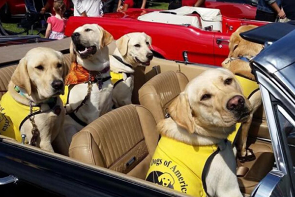 Help Guide Dogs of America in District 160’s Virtual ‘Run for the Dogs’