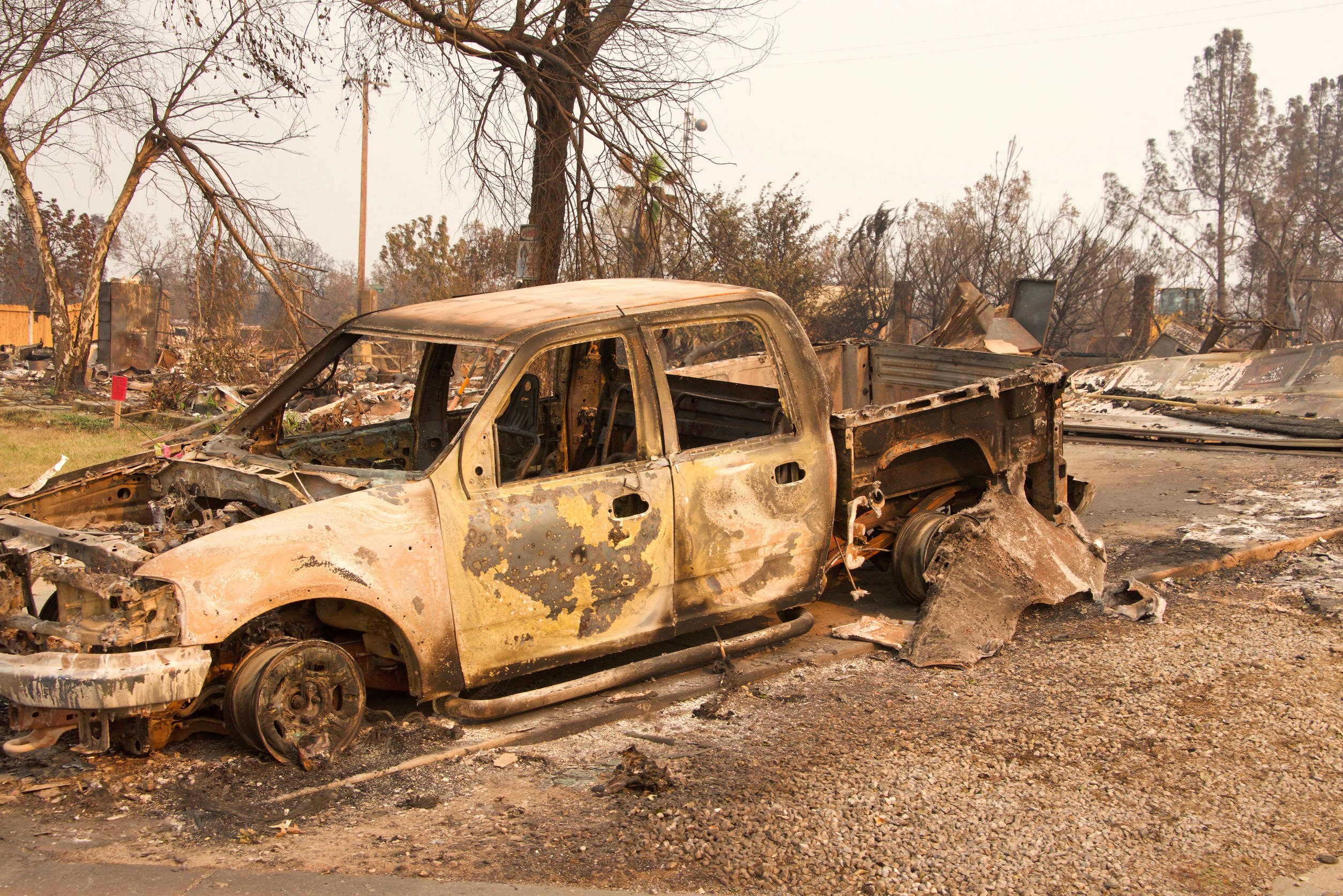 IAM Members Battle Vast West Coast Wildfires