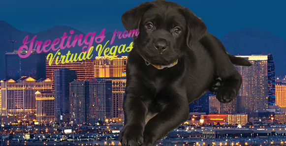 GDA Virtual Vegas Fundraiser a Success