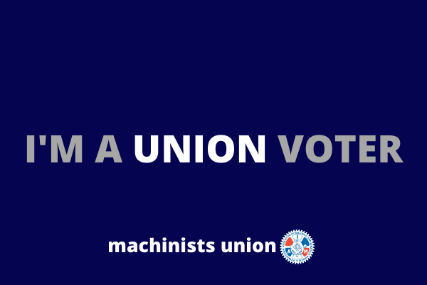 Vote. Stay in Line. Count Every Ballot.