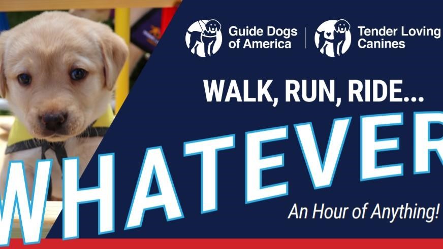 GDA Holding Walk, Run, Ride…Whatever Fundraiser