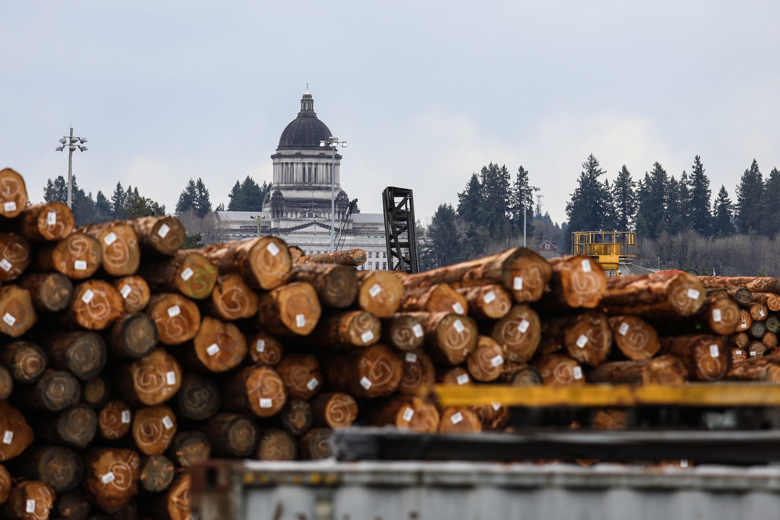 Machinists Union, Allies Win Washington State Supreme Court Case to Continue Sustainable Forest Management