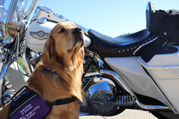 Midwest Territory’s Kourpias K-9 Classic Raises Over $102K for GDA