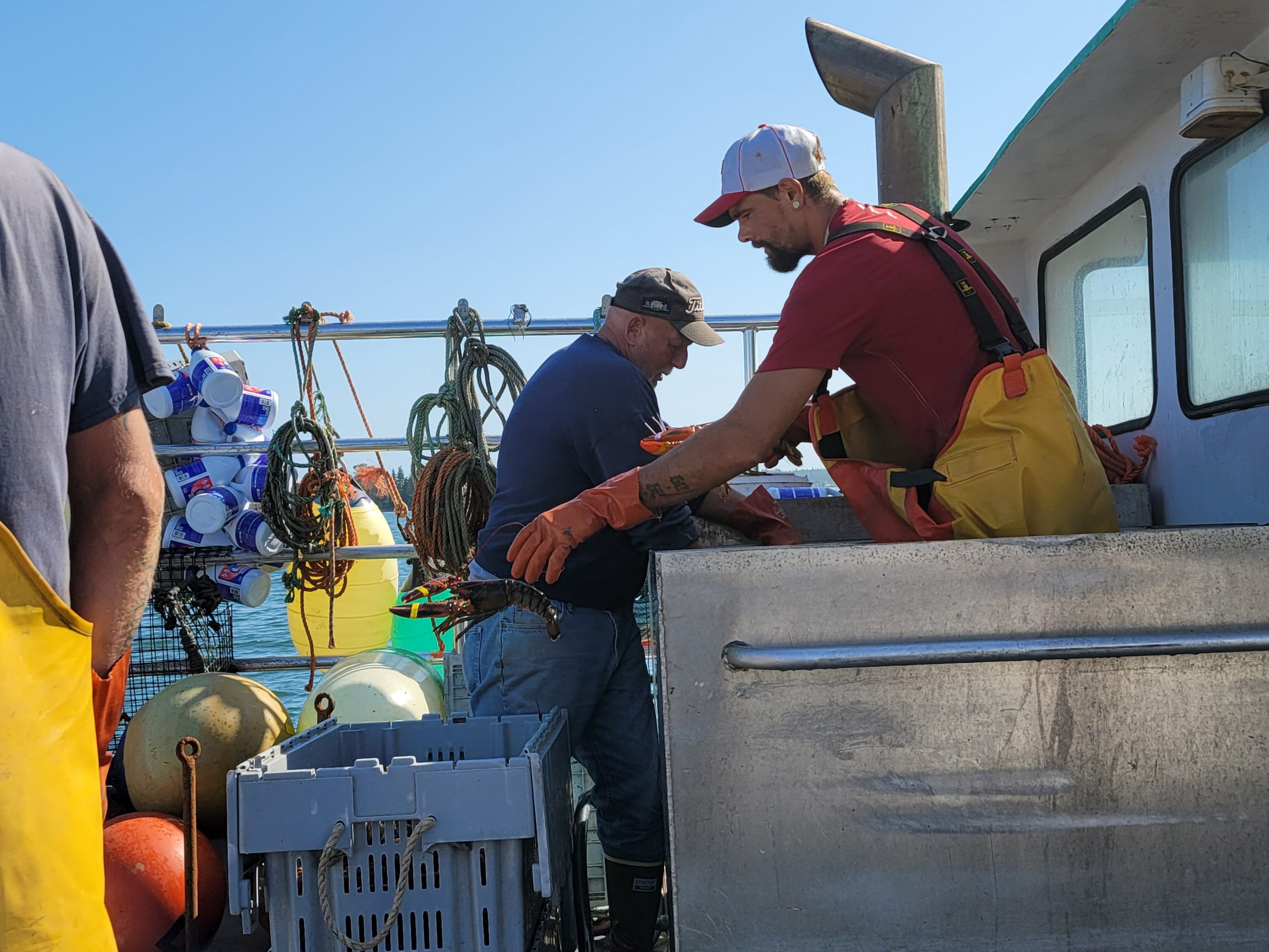 Maine Lobstering Union Urges White House to Intervene to Stop Threats to State’s Lobster Industry