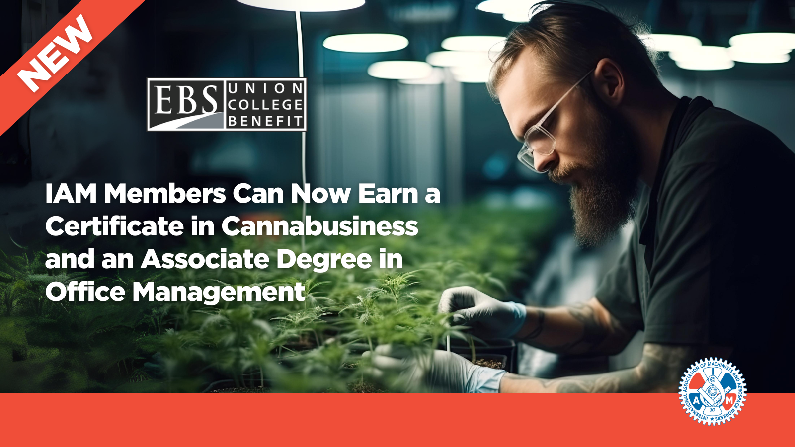 IAM Members Can Now Enhance Their Education by Earning a Certificate in Cannabusiness and an Associate Degree in Office Management