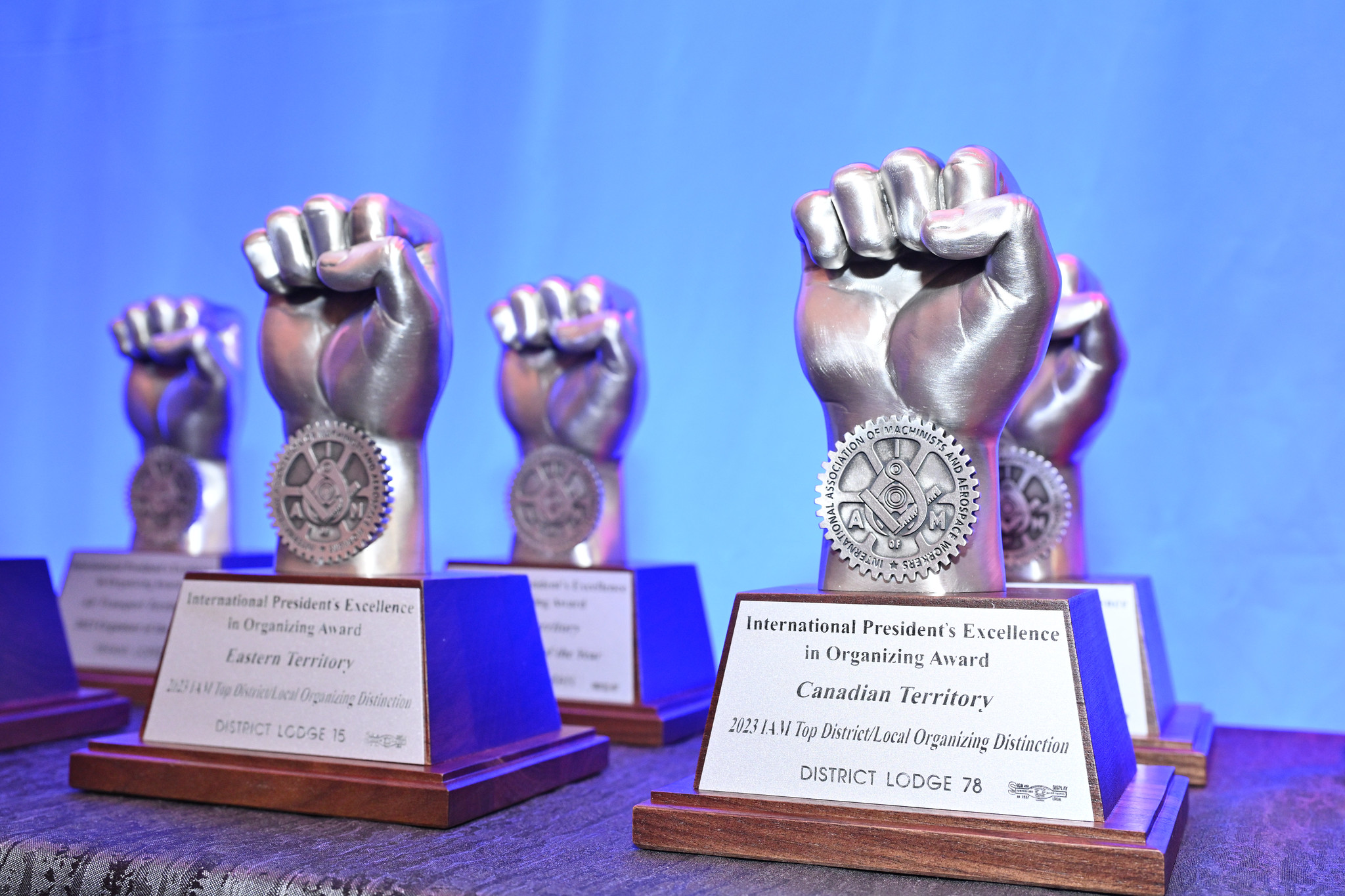 IAM’s Growth on Display in International President’s Organizing Awards