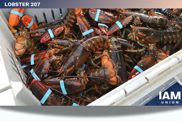 Maine Lobstering Union’s Lobster 207 Receives in Excess of $5 Million Settlement in Giant Step Forward for Maine’s Lobstering Communities
