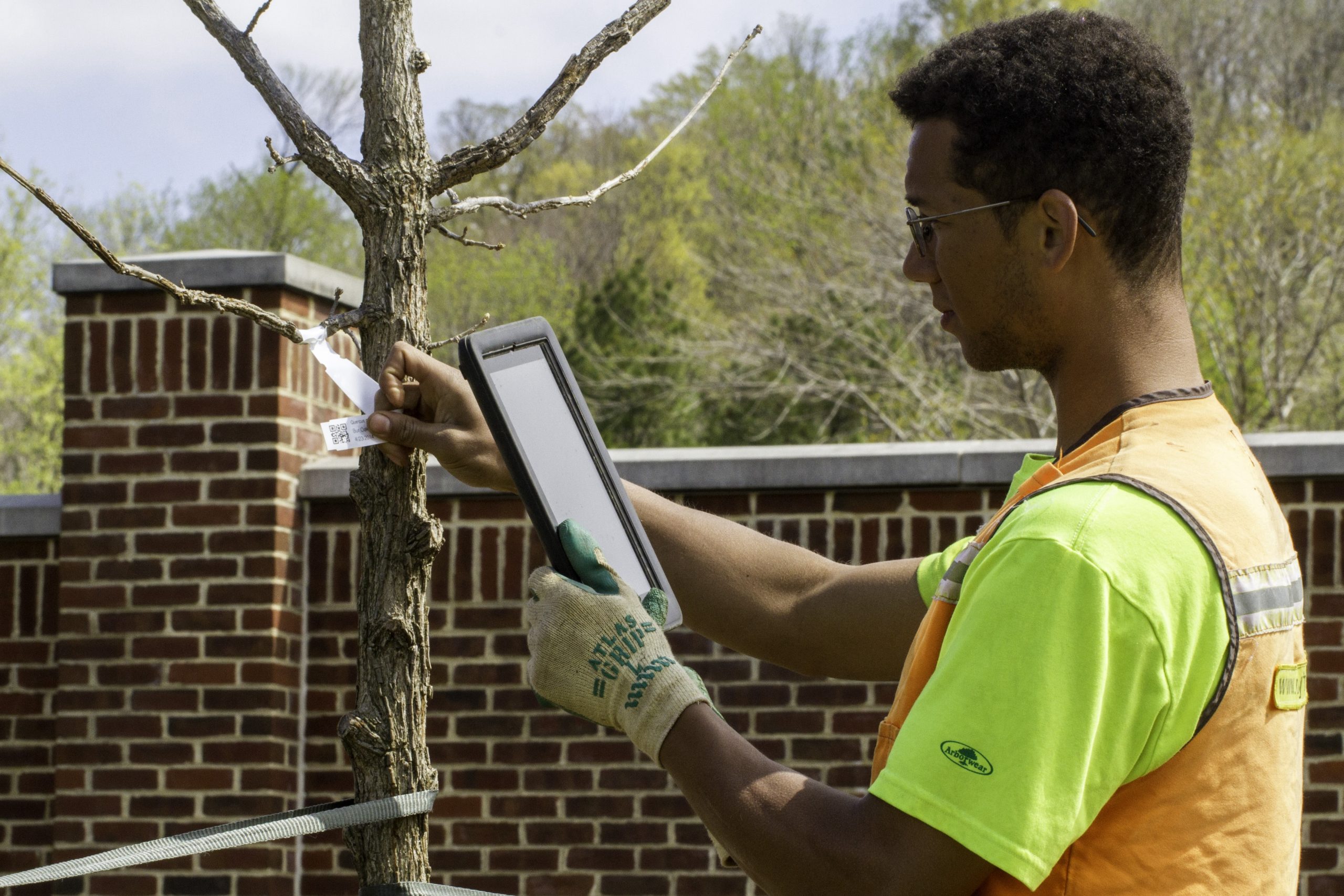 Workers Who Maintain DC-Area Trees Under Siege by Employer That Refuses to Bargain