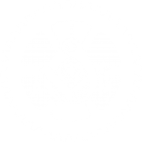 IAMLogo_ES_Gear_1Color_White