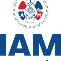 IAMLogo_ES_Vert_Tagline__FullColor