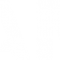 IAMLogo_ES_Wordmark__White