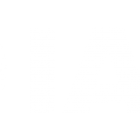IAMLogo_ES__1Color_White