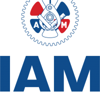 IAMLogo_Vert_Tagline__FullColor
