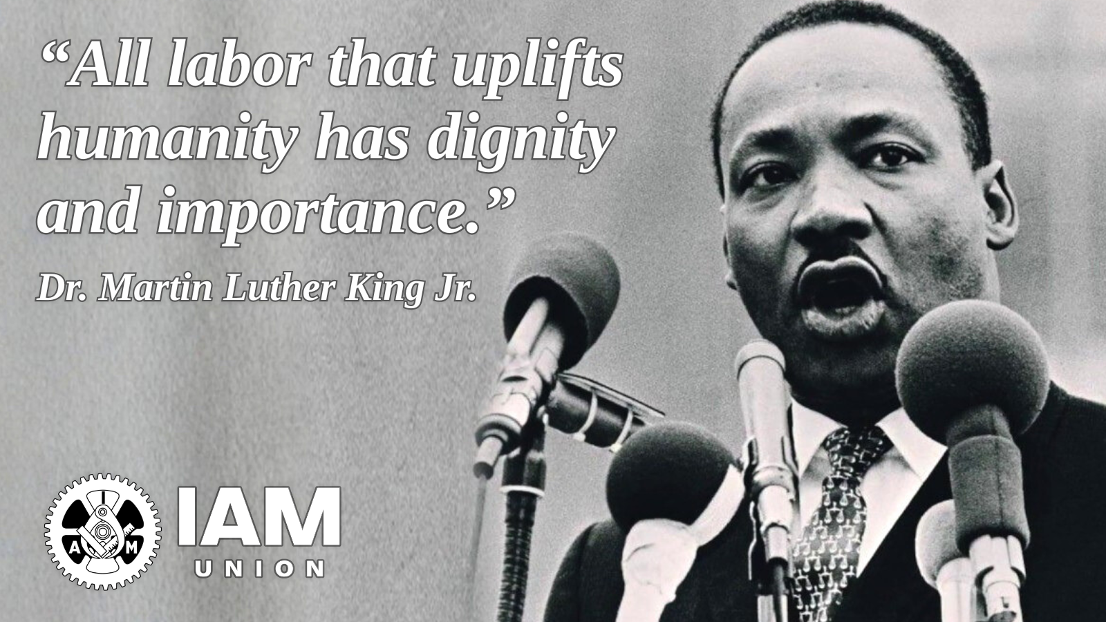 IAM Union Honors Dr. King Through Unity, Service, and Action