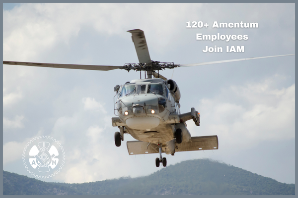 IAM Organizing Department Wins Campaign for 120+ Amentum Employees at Naval Station Mayport