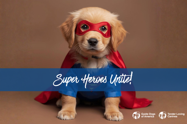 From Capes to Collars: DC and GDA | TLC Raise Real-Life Heroes