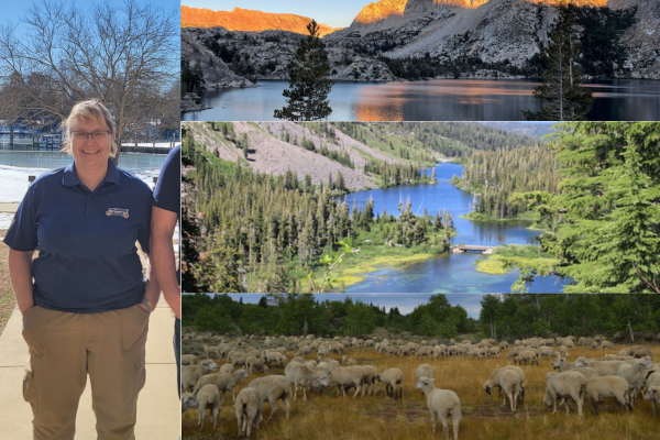 174 Workers at Humboldt-Toiyabe National Forest Secure Victory with IAM Union in Grassroots Organizing Department Win
