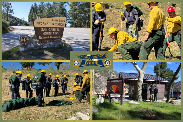 NFFE-IAM Condemns USDA’s Forest Service Restructuring Plan that Puts Workers and Public Lands at Risk