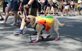 1725_pride_O64A3070